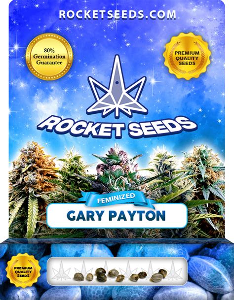 Gary Payton Strain Feminized Marijuana Seeds - Rocket Seeds