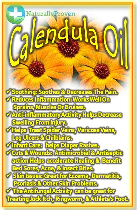 Calendula Flower Benefits For Skin