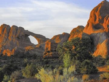 Arches & Canyonlands - Wildlife & Landscape Prints