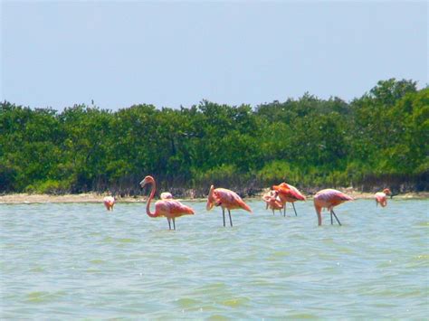 Las Coloradas, Mexico where water turns pink - blog by Emily De Conto