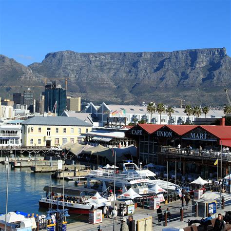 Cape-Town-&-Table-Mountain | Natural History Tours