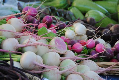 Farmers Mkt Produce | Fresh produce like the zucchini and ko… | Flickr