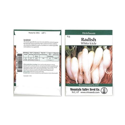 White Icicle Radish Seeds - 8 Gram Packet - Heirloom Garden Seeds, Non ...