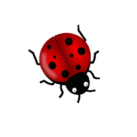 Ladybug Insect Nature - Free GIF on Pixabay - Pixabay