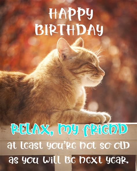 Free Friend Happy Birthday Image With Funny Cat - birthdayimg.com