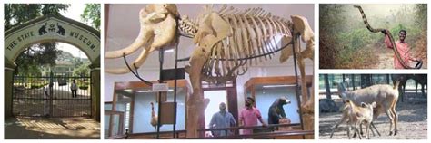 Best Time To Visit Thrissur Zoo & Museum (Thrissur) In 2024