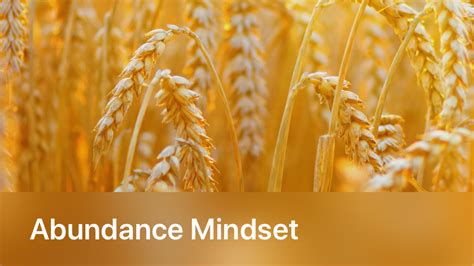 Abundance Mindset