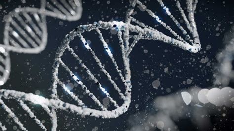 Ancient DNA brings us closer to unlocking secrets of how modern humans evolved - Modern Diplomacy