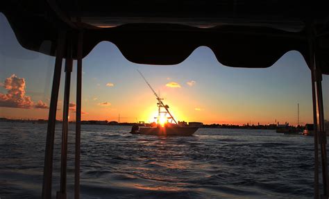 Sunset Cruises | cruisepalmbeach