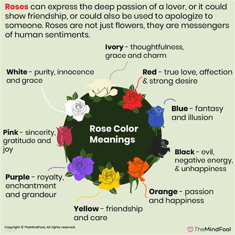 Rose Flower Symbolism & The Complete Guide to Rose Color Meanings | Rose color meanings, Rose ...