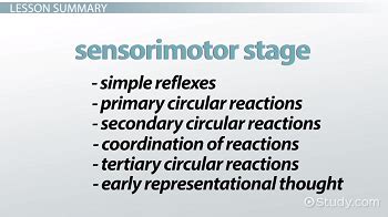 What Are The 6 Substages Of Sensorimotor Development - sharedoc