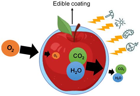 Foods | Free Full-Text | Nanoemulsions as Edible Coatings: A Potential Strategy for Fresh Fruits ...