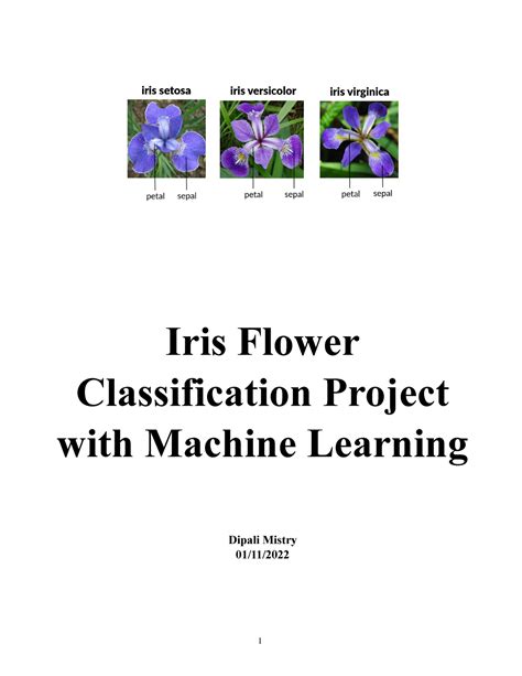 Iris Dataset Project report - Iris Flower Classification Project with ...