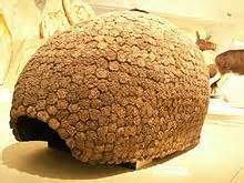 The Hidden!: Argentina: Glyptodon shell found on Camet Norte beach