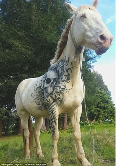 NZ Artist gives white horse a 'confidence-boosting tattoo' | Daily Mail ...