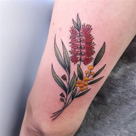 (3) Drea Darling on X: "Super cutie little sprig posy of bottlebrush, eucalyptus and wattle ...