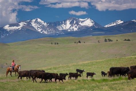 17 Best images about Montana Ranches For Sale on Pinterest | Valley of ...