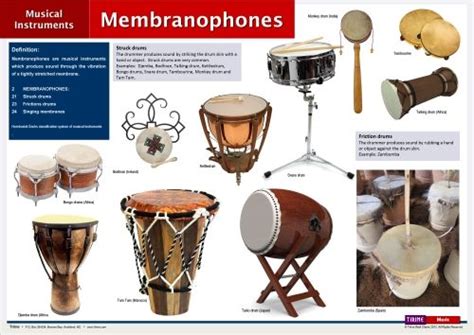 Membranophones. In the Hornbostel-Sachs classification system ...