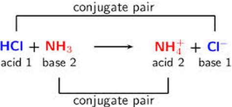 Conjugate Acids & Bases - Acids And Bases 101: The Basics Of Chemistry