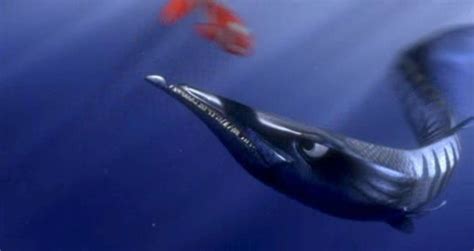 "Toy Story 4" Easter Egg: The Barracuda That Ate Nemo's Mom In "Finding Nemo" Is Stuffed And On ...