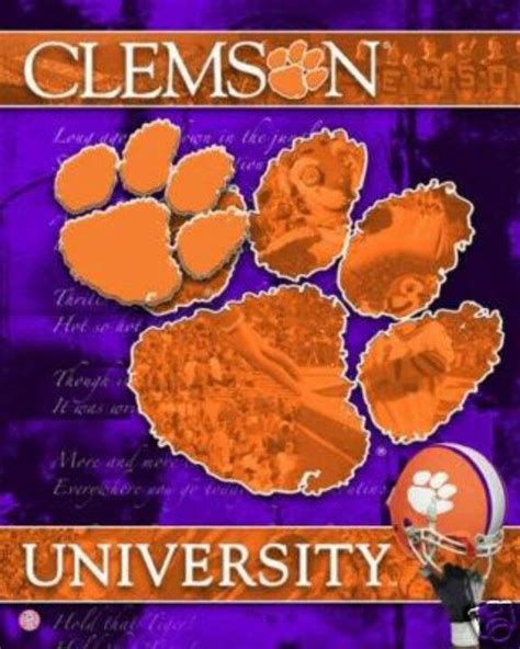 Clemson Tigers I think it's time I let my true colors show!!! | Clemson tigers, Clemson tigers ...