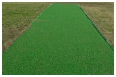 Cricket Ground Equipment Ltd