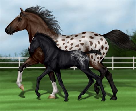 15+ Best Online Horse Simulation Games Free Download | Games Indigo