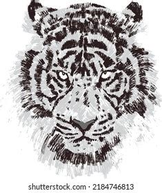 Tiger Head Black White Vector Design Stock Vector (Royalty Free ...