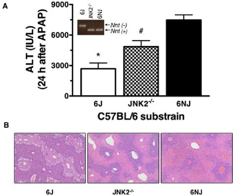 Figure 1 from Mispairing C57BL/6 substrains of genetically engineered ...