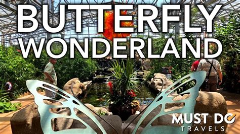 Butterfly Wonderland In Phoenix, Arizona | Must Do Travels - YouTube