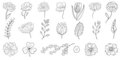 Flower Line Drawing Vector Art, Icons, and Graphics for Free Download