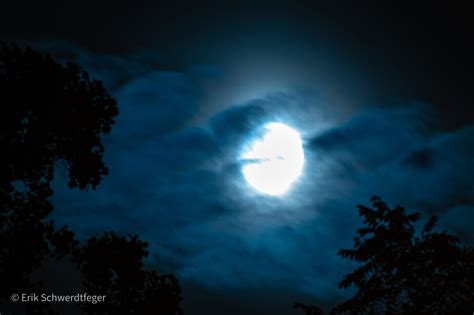 Blue Moon: What the Discovery of Water on the Moon Means for the Possibility of Lunar Life – The ...