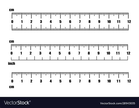 Inch and metric rulers centimeters and inches Vector Image