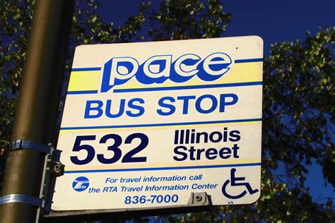 Flickr: The PACE BUS Pool