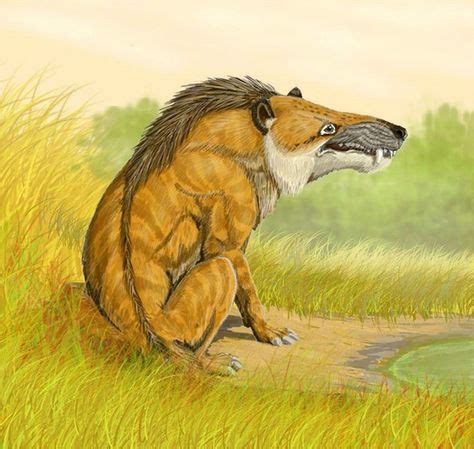 Animals that lived during the Ice Age | Prehistoric mammals | Prehistoric animals, Extinct ...