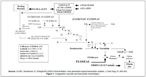 20 Years of Floseal Hemostatic Agent Use in Neurology and Spinal Surgery | SciTechnol