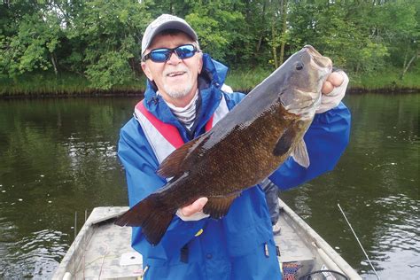 The Many Moods of Smallmouth Bass - MidWest Outdoors