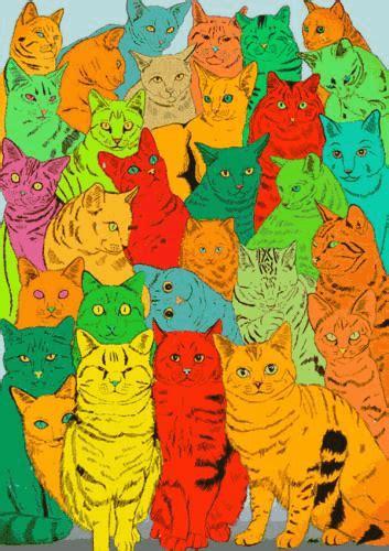 Flashing Colors Colorful Cats Gif Wifflegif - Riset