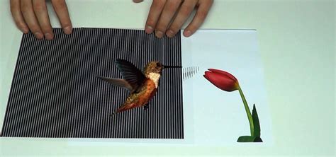 Amazing Animated Optical Illusions « Papercraft :: WonderHowTo