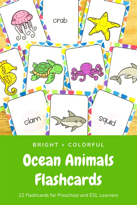 Ocean Animals Flashcards for ESL Ocean-Theme Vocabulary Activities & Games | Animal flashcards ...