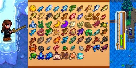 Stardew Valley: 10 Best Fish (And How To Catch Them)