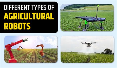 Different Types of Agricultural Robots & Their Importance