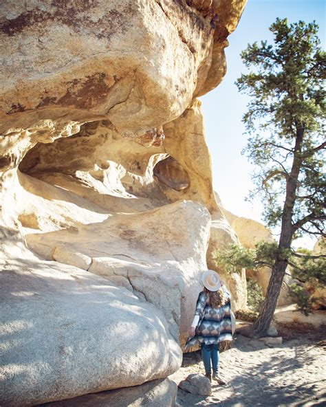 Top 8 Rock Formations - Joshua Tree National Park — Flying Dawn Marie ...