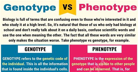 67 HD What Is The Best Definition Of Genotype - insectza