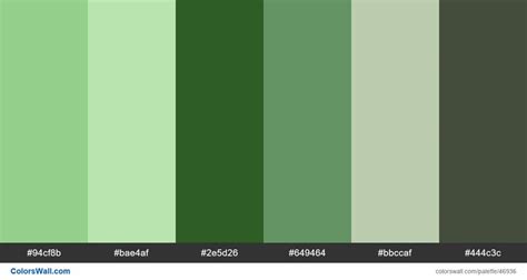 Kindle Paperwhite Vector Design Color Palette