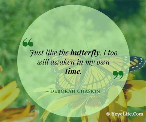 350+ Butterfly Quotes and Butterfly Sayings - YeyeLife