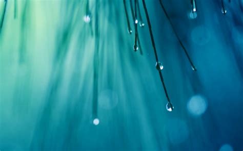 Free Rain Drops Live Wallpaper, Rain Drops Live Wallpaper Download ...