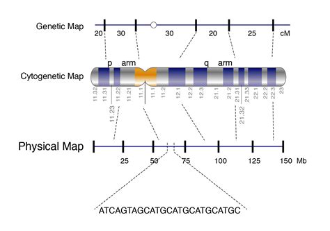 Physical Map