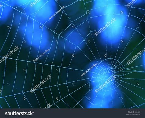 Blue Spider Web Â€“ A Background Stock Photo 688420 : Shutterstock