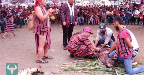 The Baguio Ibaloi Struggle Compared to Its International Counterparts ...